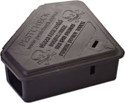 BEŞGEN KEMİRGEN İSTASYONU 